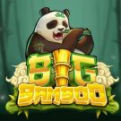 Играть в Big Bamboo слот от Push Gaming