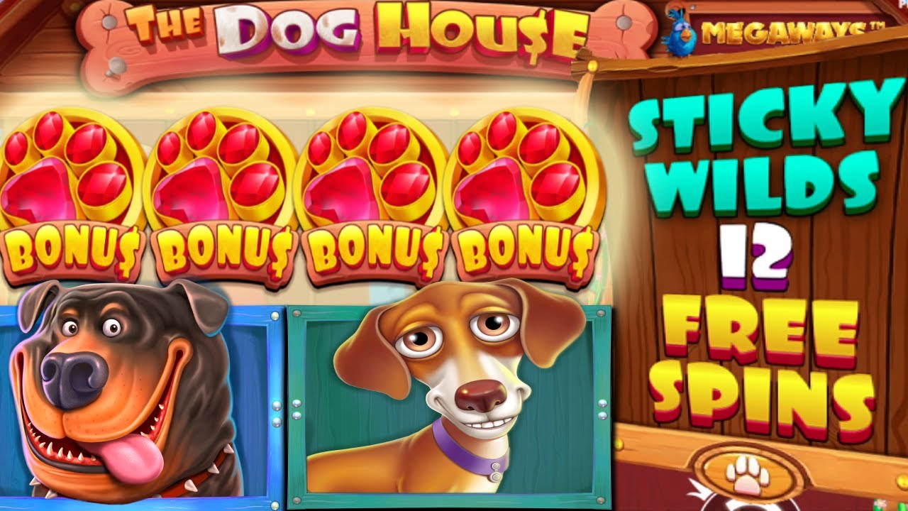 Dog House Megaways sticky wilds бонус